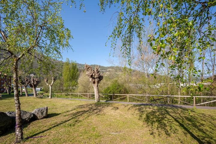 Constitución 86