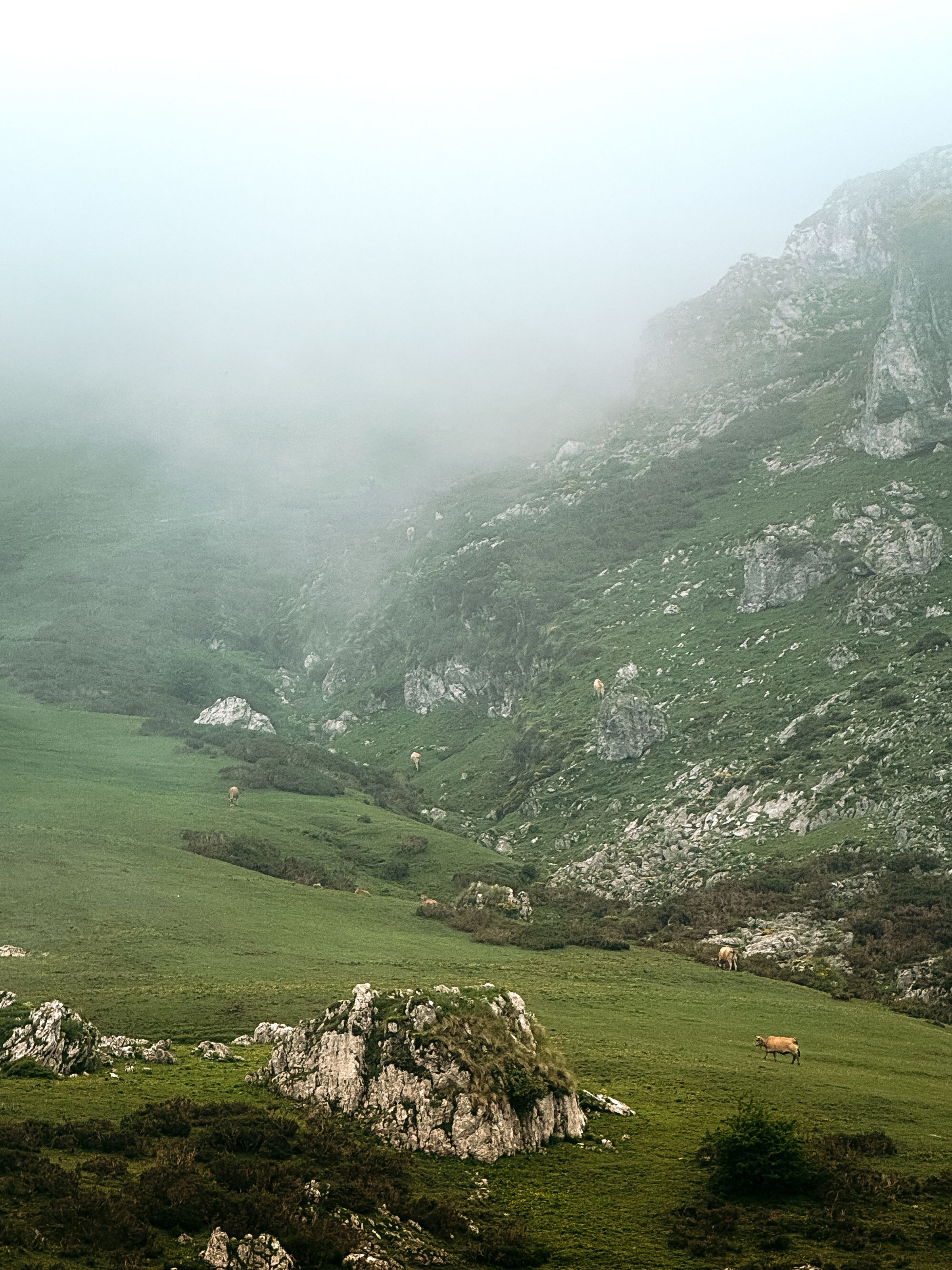 Asturias (Gijón y el Valle del Nalón) — Mañana con niebla